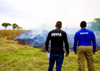 Seminário Internacional em Salvador discutirá Prevenção e Combate aos Incêndios Florestais