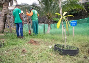 Praia no Rio Vermelho terá manguezal recuperado pela Prefeitura