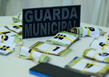 Guarda Municipal realiza entrega de documentos encontrados no Carnaval até 4 de abril