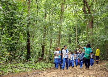 Na Semana do Meio Ambiente, Jardim Botânico de Salvador recebe visita de crianças e programa internacional
