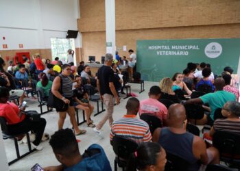 Hospital Veterinário registra 1,1 mil atendimentos em 15 dias