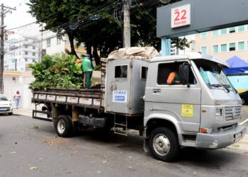 Seman intensifica poda de árvores nos circuitos do Carnaval