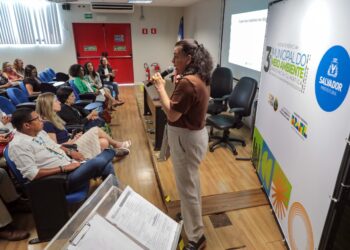 Simm oferece 74 vagas de emprego nesta quarta-feira (11)