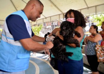 Campanha de vacinação antirrábica em Salvador segue até sexta-feira (6)