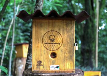 Meliponário municipal é instalado pela Prefeitura no Jardim Botânico