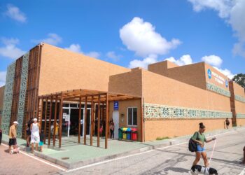 Secis abre novas vagas para estágio no Hospital Municipal Veterinário