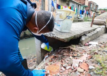 Prefeitura intensifica ações de prevenção à leptospirose em Salvador