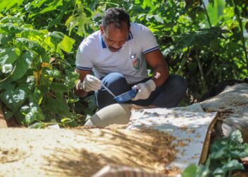 Prefeitura realiza ação de combate à dengue em áreas com casos notificados da doença