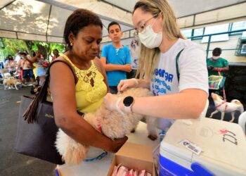 Prefeitura disponibilizará mais 3 mil doses de vacina V10 para cães a partir de quarta (21)