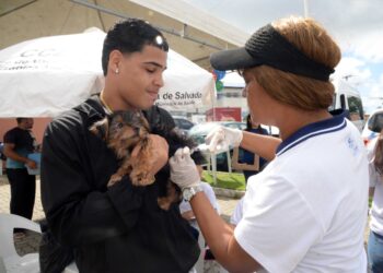 Salvador dá início à Campanha de Vacinação Antirrábica Animal 2025 com mobilização em Cajazeiras