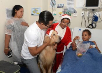 Ala pediátrica do HMS ganha celebração natalina com Papai Noel e cão terapeuta