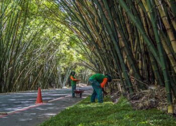 Aeroporto de Salvador terá novas rotas na temporada de férias de julho