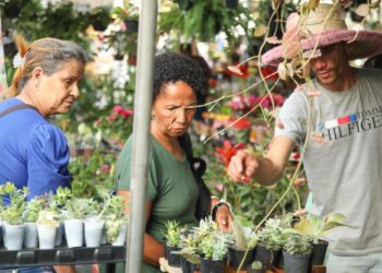Parque da Cidade recebe 5ª edição do Circuito de Feiras Agroecológicas de Salvador neste sábado (8)