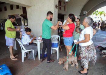 Mutirão da Prefeitura oferece aplicação gratuita da vacina V10 para cães na Lagoa do Abaeté