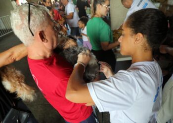Cajazeiras recebe mutirão de vacina V10 gratuita para cães na próxima terça (5)