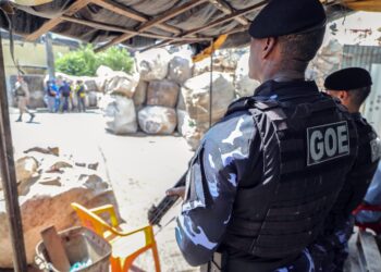 Guarda Municipal registra redução de 8,4% no número de ocorrências em 2024