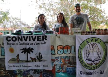 Bioma da Caatinga é destaque no terceiro dia da 21ª Semana Nacional de Ciência e Tecnologia, em Quixabeira