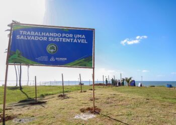 Prefeitura inicia plantio de mudas de coqueiros no Jardim de Alah