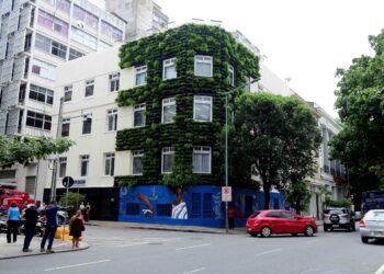 Secis ganha nova parede verde com plantas nativas da Mata Atlântica