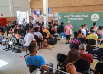 Hospital Veterinário de Salvador celebra um ano de inaugurado com mais de 50 mil animais atendidos