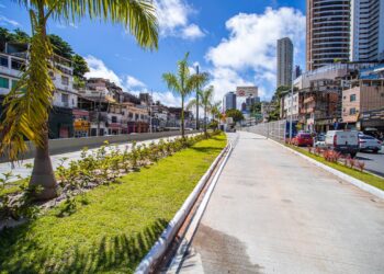 Prefeitura investe em paisagismo em estações do BRT