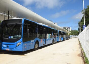 Salvador recebe 32 novos ônibus para compor frota da cidade
