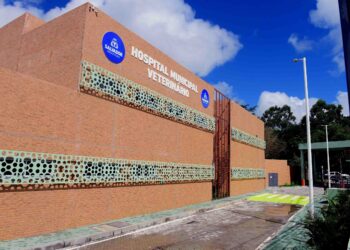 Hospital Veterinário completa um mês de inaugurado com mais de dois mil atendimentos registrados