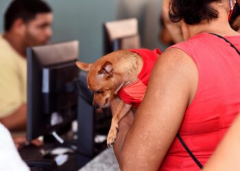 Hospital Municipal Veterinário realiza mais de 160 atendimentos no primeiro dia de funcionamento