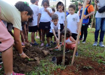 Secis celebra Dia Nacional da Mata Atlântica com plantio de ipês em Vila Laura