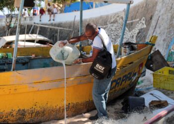 CCZ realiza ações de prevenção e combate a roedores e Aedes no Rio Vermelho