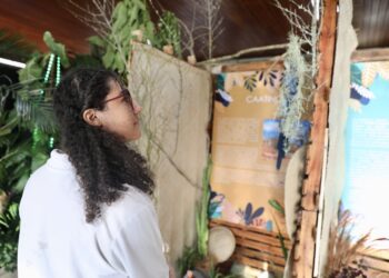 Exposição na Biblioteca Central destaca os biomas da Bahia