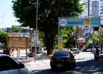 Fiscalização eletrônica de acesso às zonas do Carnaval começa nesta quinta (8)