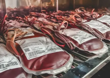 Dia Mundial do Doador de Sangue: uma única doação pode salvar 3 vidas