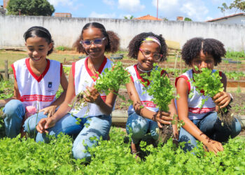 Alunos do CAIC, em Lauro de Freitas, participam de colheita na Horta Pedagógica