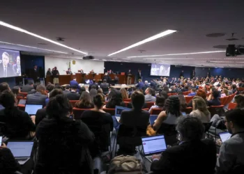 Após depoimento ao STF, Braga Netto pede para deixar a prisão