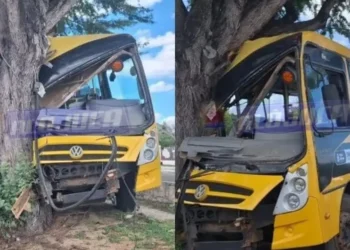 Paulo Afonso: ônibus escolar com mais de 50 estudantes bate em árvore e deixa dez feridos