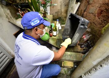 Saúde intensifica ações de combate às arboviroses em Salvador com proximidade do período chuvoso