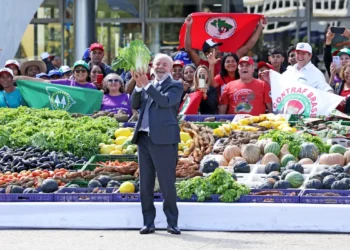 Agricultura familiar terá R$ 76 bilhões para produção de alimentos