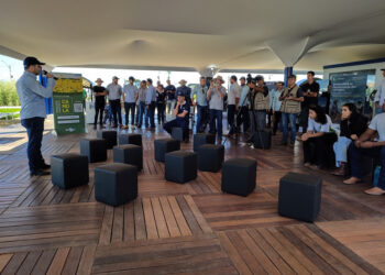 Novas cultivares de soja e sorgo são lançadas na Agrobrasília 2024