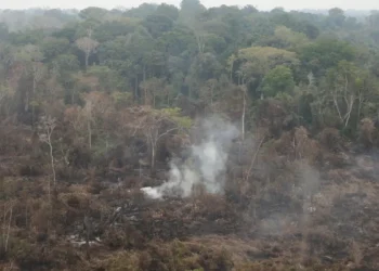 Amazônia tem 2,5 milhões de hectares queimados em agosto