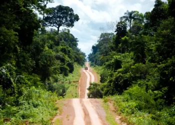 Amazônia: degradação afeta área três vezes maior que desmatamento