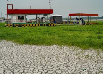 Seca de rios favorece caça e pesca ilegais na Amazônia