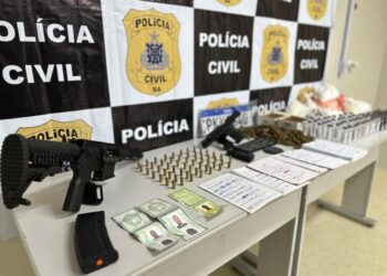 Bahia tem mais de 6 mil armas apreendidas e recorde de fuzis encontrados em 2024