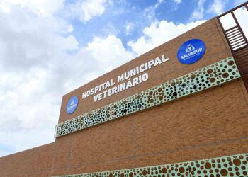 Hospital Veterinário de Salvador realiza mutirão de agendamento para castração de cães e gatos