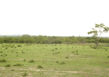 Incra cria assentamento no município de Coronel João Sá