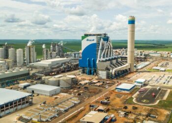 Bracell e MS Florestal abrem inscrições para Programa de Trainee 2024