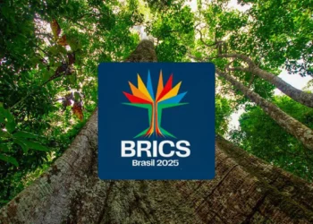 Brics lança concurso para startups lideradas por mulheres