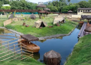 Galinhas d’angola do Bioparque no Rio morreram de gripe aviária