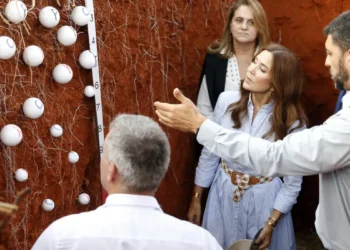 Brasil e Dinamarca buscam intensificar parcerias em sustentabilidade