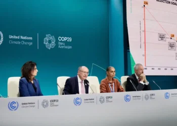 Brasil é segundo país a entregar meta de emissões na COP29